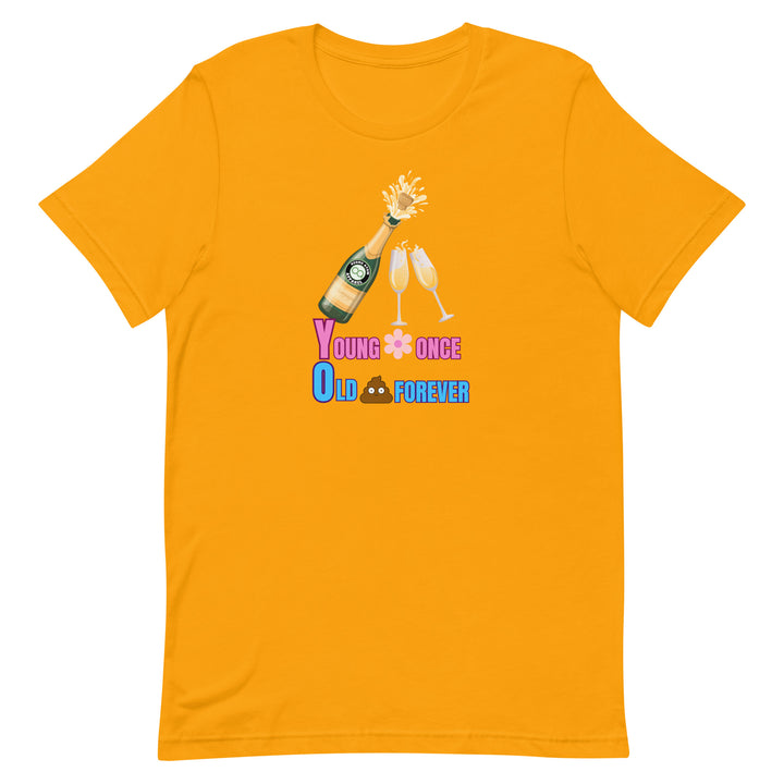 レディースTシャツ レギュラーフィット 13色 XS-5XL--WRT053